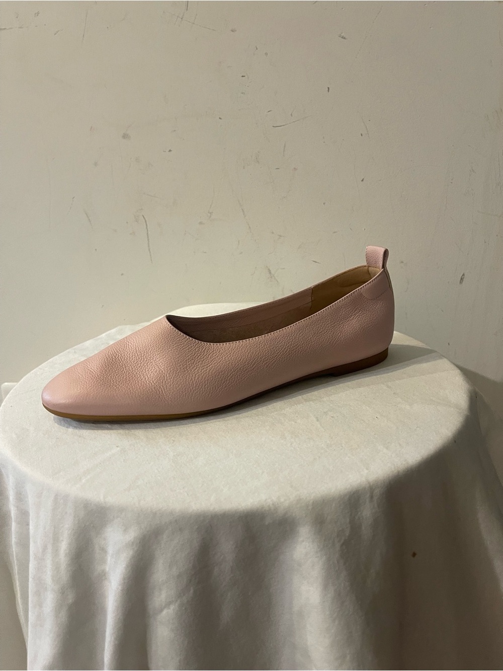 Everlane Pink Leather Ballet Flat